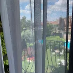 Spineto House 4*