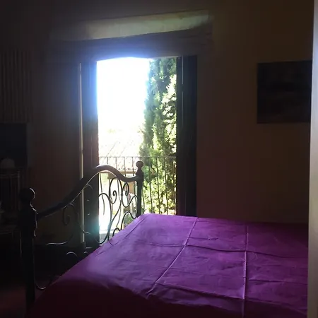 Guest house Spineto House 4*