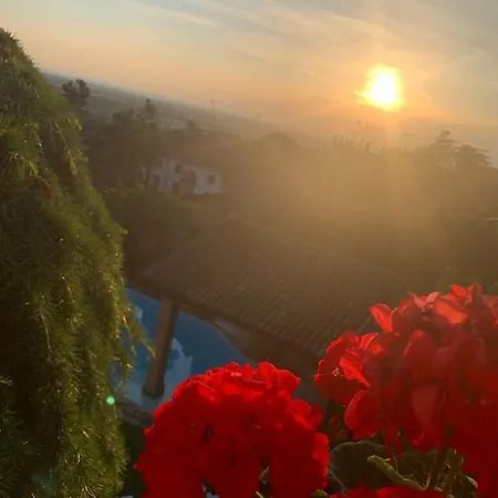 Guest house Spineto House